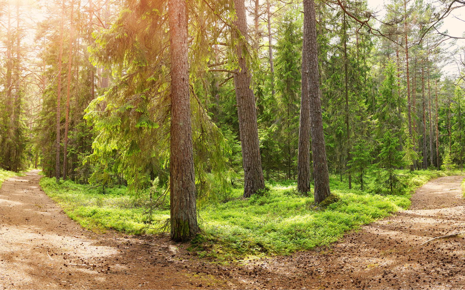 Why it’s time to rethink your approach to ongoing advice services landing page footer image